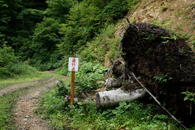 DSC01728.jpg