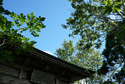 DSC01932.jpg