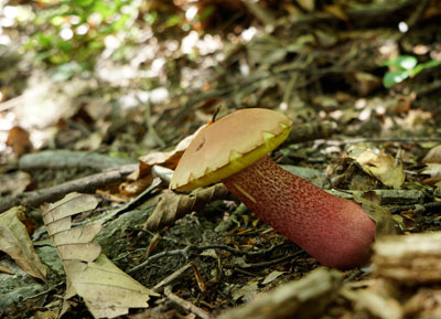 DSC01925.jpg