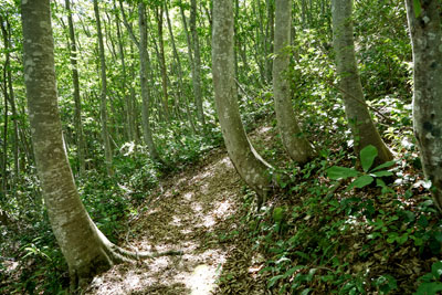 DSC01917.jpg