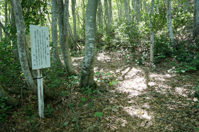 DSC01912.jpg