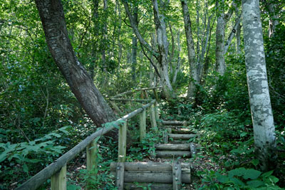 DSC01905.jpg