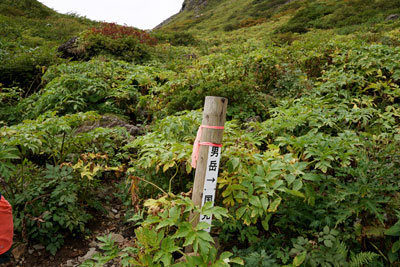 DSC02330.jpg