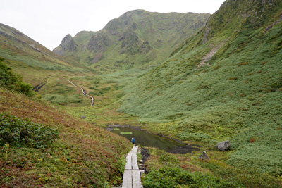 DSC02320.jpg