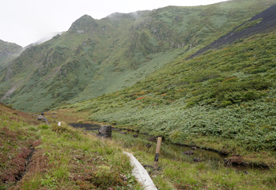 DSC02306.jpg