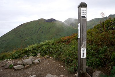 DSC02285.jpg