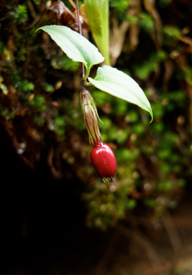 DSC02278.jpg