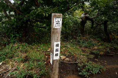 DSC02268.jpg