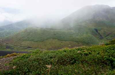 DSC02402.jpg