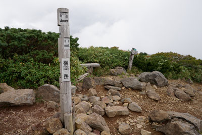 DSC02397.jpg