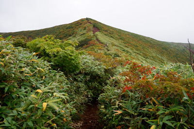 DSC02392.jpg