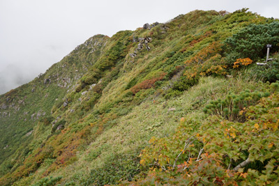 DSC02388.jpg