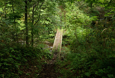 DSC02551.jpg