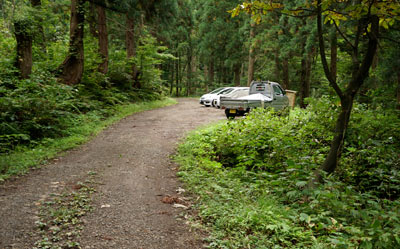 DSC02546.jpg