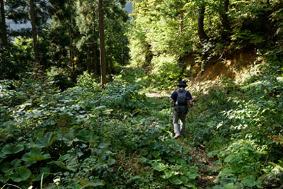 DSC02776.jpg