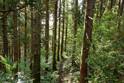 DSC02767.jpg
