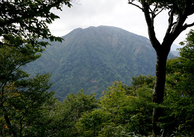DSC02750.jpg