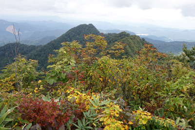 DSC02722.jpg