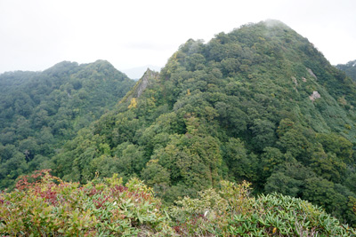 DSC02684.jpg