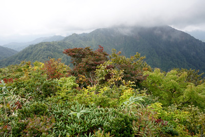 DSC02685.jpg