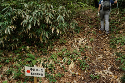 DSC02669.jpg
