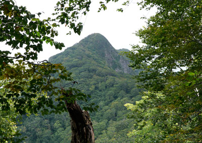 DSC02663.jpg