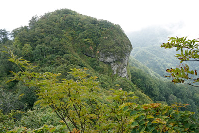 DSC02647.jpg