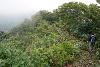 DSC02639.jpg