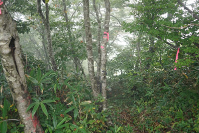 DSC02633.jpg