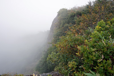 DSC02629.jpg