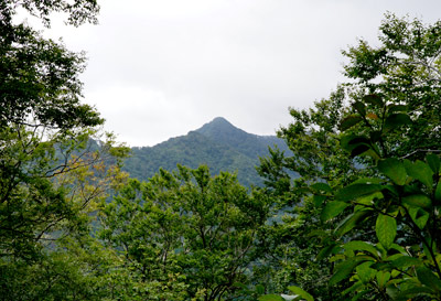 DSC02583.jpg