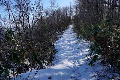DSC03886.jpg