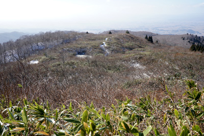 DSC03867.jpg