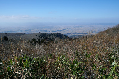 DSC03856.jpg