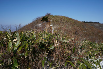 DSC03842.jpg