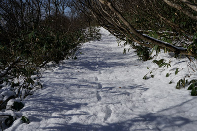 DSC03839.jpg