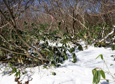DSC03838.jpg