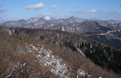 DSC03836.jpg