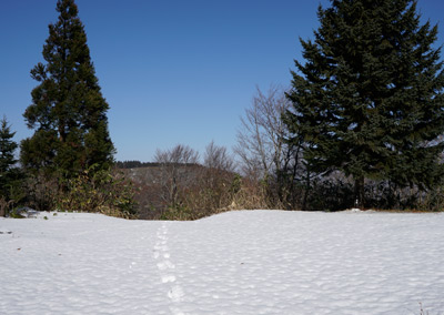 DSC03829.jpg