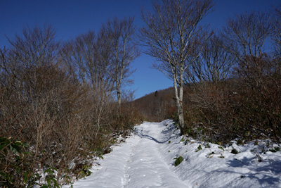 DSC03803.jpg