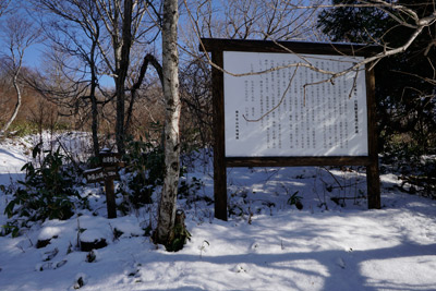DSC03797.jpg