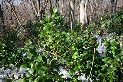 DSC03792.jpg