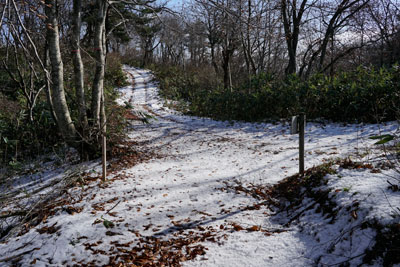 DSC03790.jpg