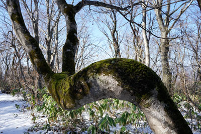DSC03787.jpg