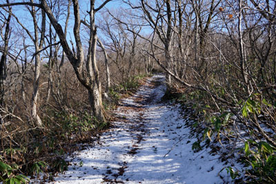 DSC03782.jpg