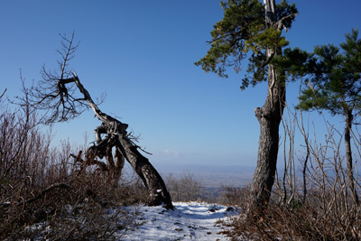 DSC03783.jpg