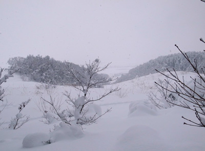 R9305844.jpg
