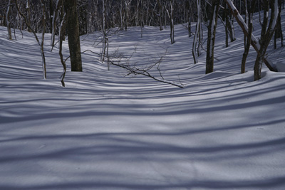 DSC04136.jpg