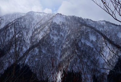 DSC04128.jpg