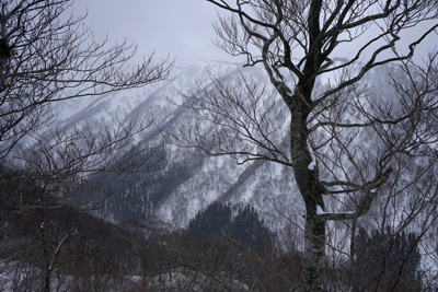 DSC04109.jpg